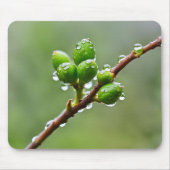 グリーン春芽 マウスパッド (正面)