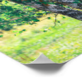 グリーン樺の木ツリー葉自然 ポスター (角)