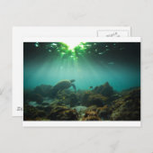 グリーン海ラグーン海カメ水中 ポストカード (正面/裏面)