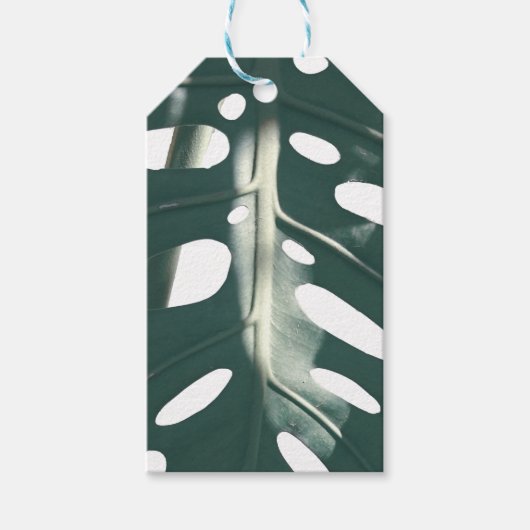 グリーン淡い色のパステルスイスチーズプラント ギフトタグ (正面)