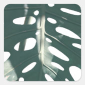 グリーン淡い色のパステルスイスチーズプラント スクエアシール (正面)