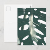 グリーン淡い色のパステルスイスチーズプラント ポストカード (正面/裏面)