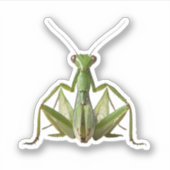 グリーン祈マンティス シール (正面)