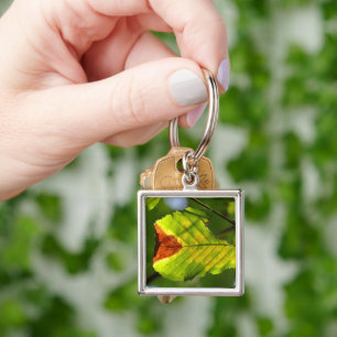 グリーン秋リーフ キーホルダー