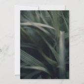 グリーン素朴春グラス&ライトスウィート16 招待状 (裏面)