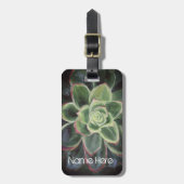 グリーン絵画吸肉カスタム体 ラゲッジタグ (正面縦)