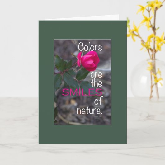 グリーン縁取りのピンクのバラ一輪の写真でお見舞いメッセージ カード (黄色い花)