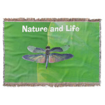 グリーン自然とライフトンボ