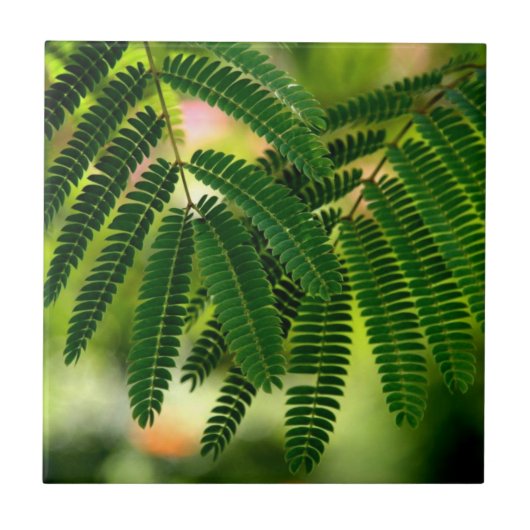 グリーン葉セラミックスタイル タイル (正面)