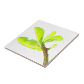 グリーン葉デュリリー自然感じ タイル (側面)