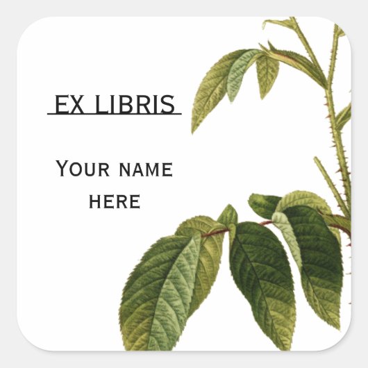 グリーン葉バラヴィンテージ絵画蔵書票 スクエアシール (正面)