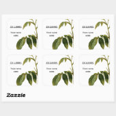 グリーン葉バラヴィンテージ絵画蔵書票 スクエアシール (シート)