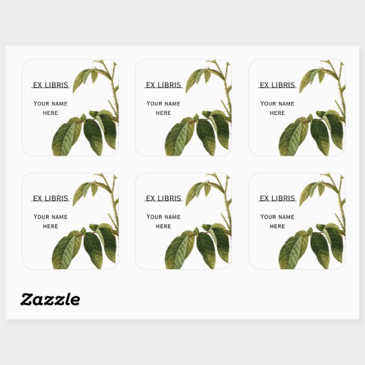 グリーン葉バラヴィンテージ絵画蔵書票 スクエアシール (シート)