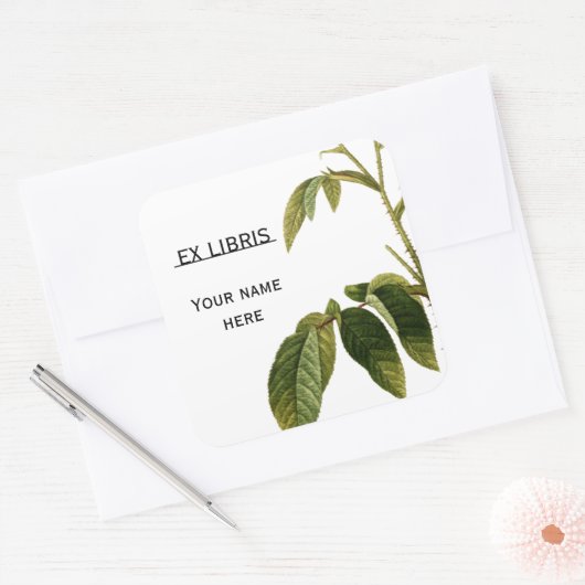 グリーン葉バラヴィンテージ絵画蔵書票 スクエアシール (封筒)