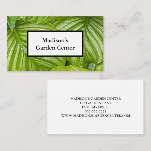 グリーン葉フォトガーデンセンター 名刺 (正面/裏面)