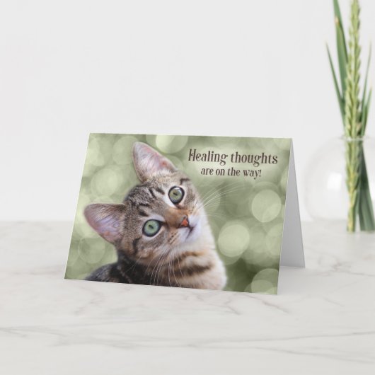 グリーン虎猫で元気に《写真》ぼけ味 カード (正面)