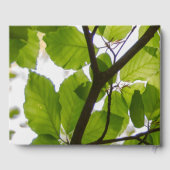 グリーン離れ結婚ゲストブック ゲストブック (裏面)