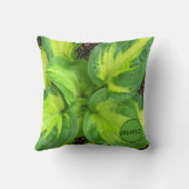 グリーン鮮やかホスタモノグラーム装飾用クッション クッション (裏面)
