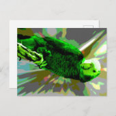 グリーン鸚鵡6537 ポストカード (正面/裏面)