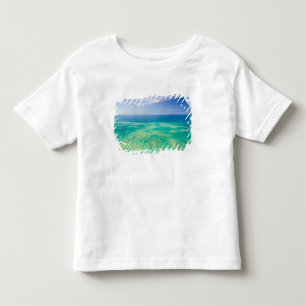 グリーン2の航空写真、グレートバリアリーフ トドラーTシャツ