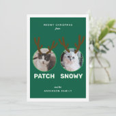 グリーン2ペットフォトマイオウィクリスマスホリデーカード シーズンカード (スタンド正面)