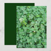 グリーン アイリッシュ シャムロック インビテーション テンプレート (正面/裏面)