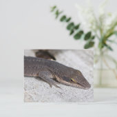 グリーン・アノール・リザード接写 ポストカード (スタンド正面)