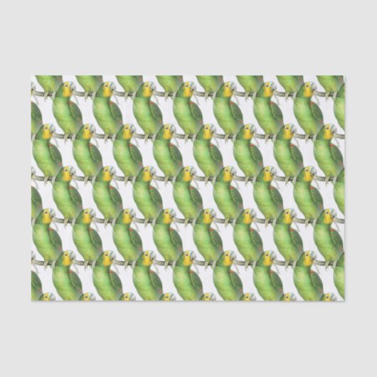 グリーン&イエローエキゾチックヴィンテージオウム模様 薄葉紙 (正面)