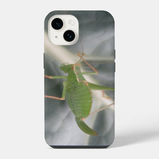 グリーン・クリケット・マクロ iPhoneケース (裏面)
