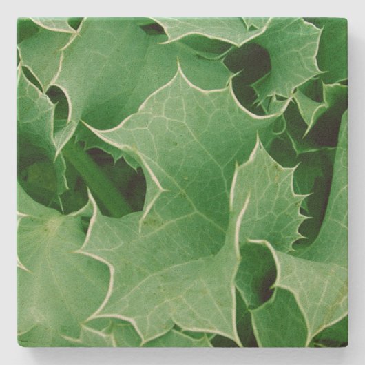 グリーン クリスマス ホーリー ストーンコースター (正面)