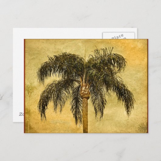 グリーン トロピカル パーム ツリー ハワイアン ヴィンテージ パーム ポストカード (正面/裏面)