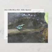 グリーン&ブラックポイズンダーツカエル# 2 ポストカード (正面/裏面)