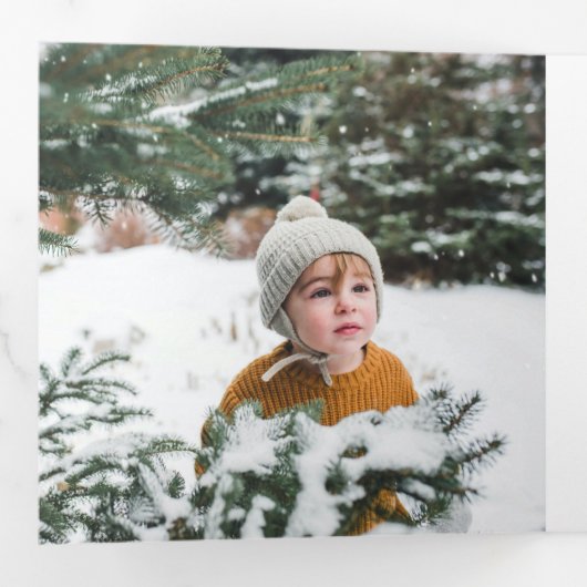 グリーン ブルー ティール プラッド 7 枚の写真 楽しいクリスマス 三つ折りクリスマスカード (内部最初)