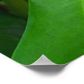 グリーン ポスター (角)