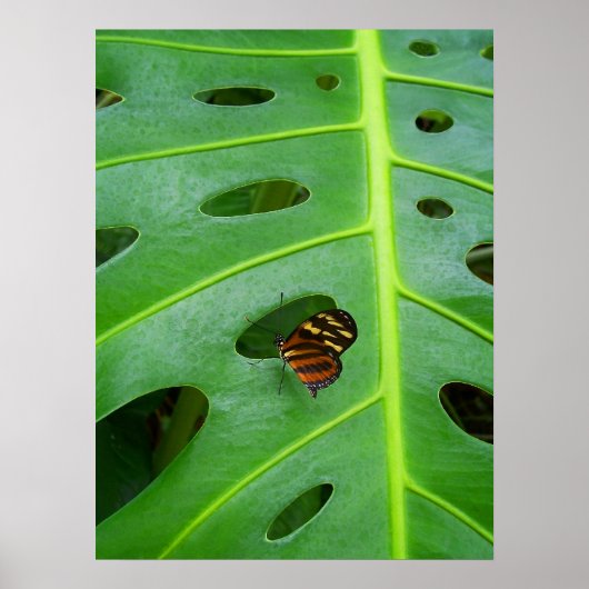 グリーン ポスター (正面)