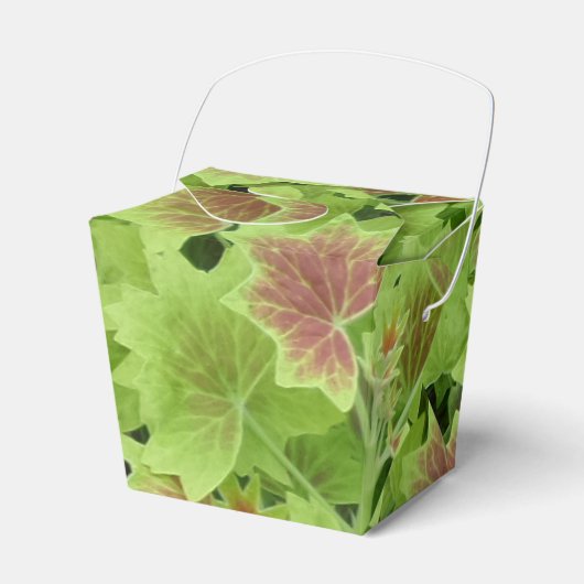 グリーン レッド リーフス テイクアウト フェイバーボックス (正面サイド)