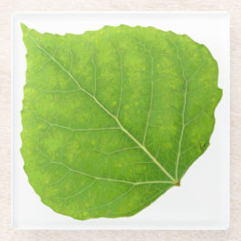 グリーン《植物》アスペンリーフ#11 ガラスコースター