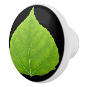 グリーン《植物》アスペンリーフ#11 セラミックノブ (右)