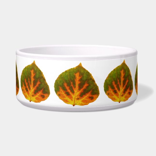 グリーン《植物》アスペンリーフ#11 ボウル (正面)