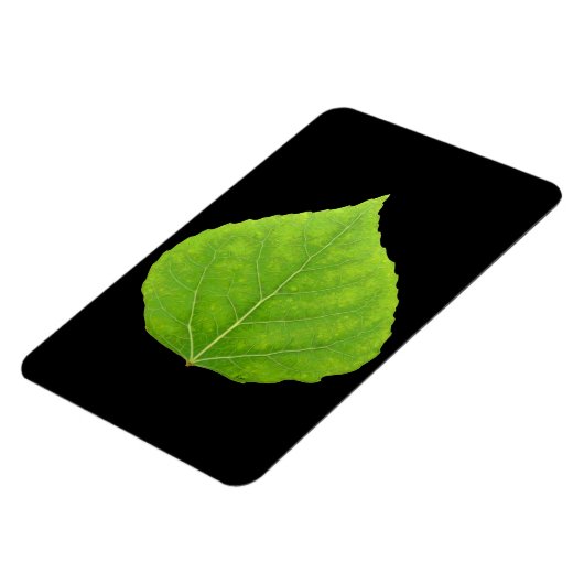 グリーン《植物》アスペンリーフ#11 マグネット (左側)