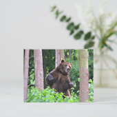 グリ威厳のあるズリー:森の守り ポストカード (スタンド正面)