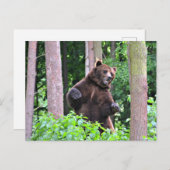 グリ威厳のあるズリー:森の守り ポストカード (正面/裏面)