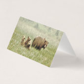 グリ空白のズリーベア&カブの折り畳みノートカード (裏面)