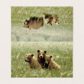 グリ空白のズリーベア&カブの折り畳みノートカード (外部フラット)