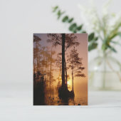 グルジアのオケフェノキー沼に沈む夕日 ポストカード (スタンド正面)