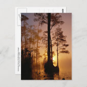 グルジアのオケフェノキー沼に沈む夕日 ポストカード (正面/裏面)