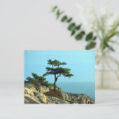 グルジア湾ショアライン、ヒューロン湖、オンタリオ州、カナダ ポストカード (スタンド正面)