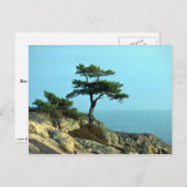 グルジア湾ショアライン、ヒューロン湖、オンタリオ州、カナダ ポストカード (正面/裏面)