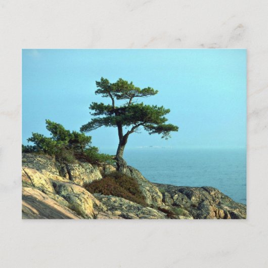 グルジア湾ショアライン、ヒューロン湖、オンタリオ州、カナダ ポストカード (正面)