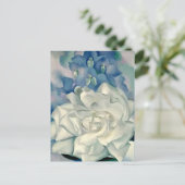 グルジア素晴らしオキーフェホワイトローズとラークスパー ポストカード (スタンド正面)